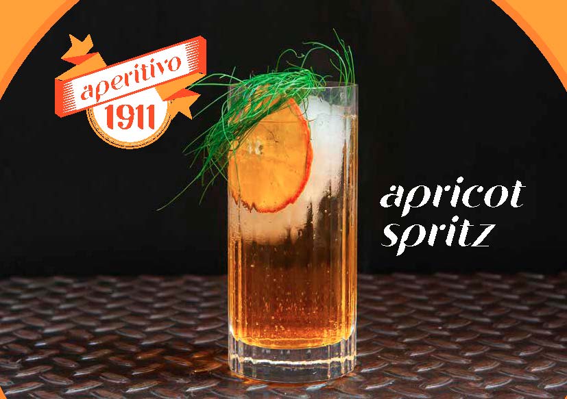 brochure-ricette-aperitivo-1911-2023-WEB_Pagina_18 Liquori Morelli